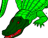 Desenho Crocodilo  pintado por pedro frança rios canário
