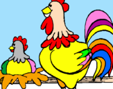 Desenho Galo e galinha pintado por milu