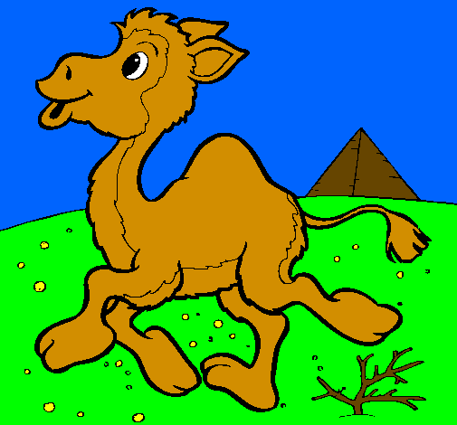 Desenho Camelo pintado por joao pedro vida loka