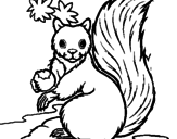 Desenho Esquilo pintado por julia