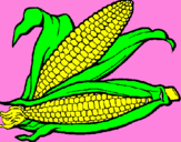 Desenho Espiga de milho  pintado por karol