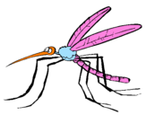 Desenho Mosquito pintado por jorge