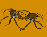 Desenho Escaravelhos pintado por pedro frança rios canário