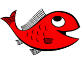Desenho Peixe pintado por peixe vermelho