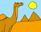 Desenho Camelo pintado por egito