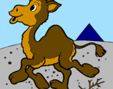 Desenho Camelo pintado por silvia