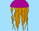 Desenho Medusa pintado por jorge