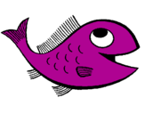 Desenho Peixe pintado por peixe roxo
