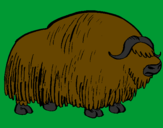 Desenho Bisonte  pintado por cauan