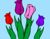 Desenho Tulipa pintado por A Abelhinha