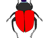 Desenho Escaravelho pintado por nywssawchon