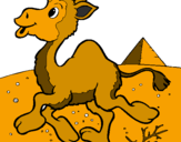Desenho Camelo pintado por gustavo  8  anos