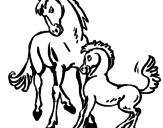 Desenho Cavalos pintado por gustavo
