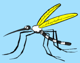 Desenho Mosquito pintado por pedro