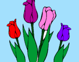 Desenho Tulipa pintado por joquebede