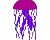 Desenho Medusa pintado por felipe