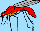 Desenho Mosquito pintado por MATEUS