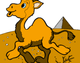 Desenho Camelo pintado por pipa