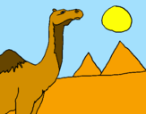 Desenho Camelo pintado por HUGO E HELOISA