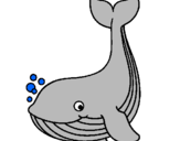 Desenho Pequena baleia pintado por pescaria