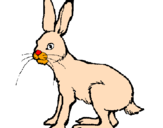 Desenho Lebre pintado por coelho