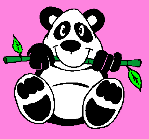 Desenho Urso panda pintado por marcia