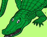 Desenho Crocodilo  pintado por Entony S. Camargo