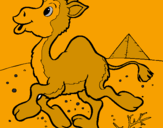 Desenho Camelo pintado por keuller  de  moraes