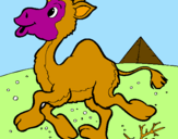 Desenho Camelo pintado por BERNARDO
