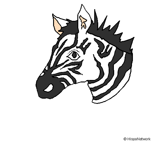 Desenho Zebra II pintado por Ellen