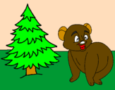 Desenho Urso e abeto pintado por papai45