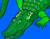 Desenho Crocodilo  pintado por CcrisKiityy