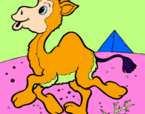 Desenho Camelo pintado por Rhayssa