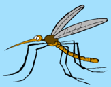 Desenho Mosquito pintado por lucas 1133