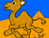 Desenho Camelo pintado por lucas zanon gama