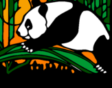 Desenho Urso panda a comer pintado por x