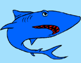 Desenho Tubarão pintado por goku