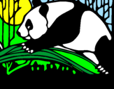 Desenho Urso panda a comer pintado por haron