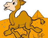 Desenho Camelo pintado por milagros  itati  perez