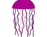 Desenho Medusa pintado por nick