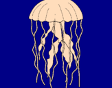 Desenho Medusa pintado por ana licia
