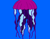 Desenho Medusa pintado por pamela coronel 