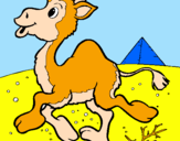 Desenho Camelo pintado por rute ines