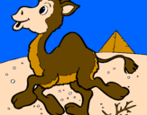 Desenho Camelo pintado por Francisca