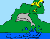Desenho Golfinho e gaviota pintado por CcrisKiityy
