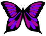 Desenho Borboleta pintado por borboletinha