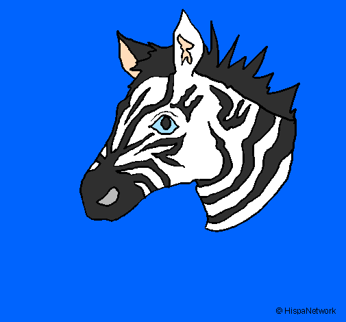 Desenho Zebra II pintado por patricia castro