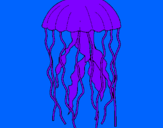 Desenho Medusa pintado por Entony S. Camargo