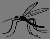 Desenho Mosquito pintado por keuller  de  moraes