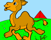 Desenho Camelo pintado por larissa gusmao crispim